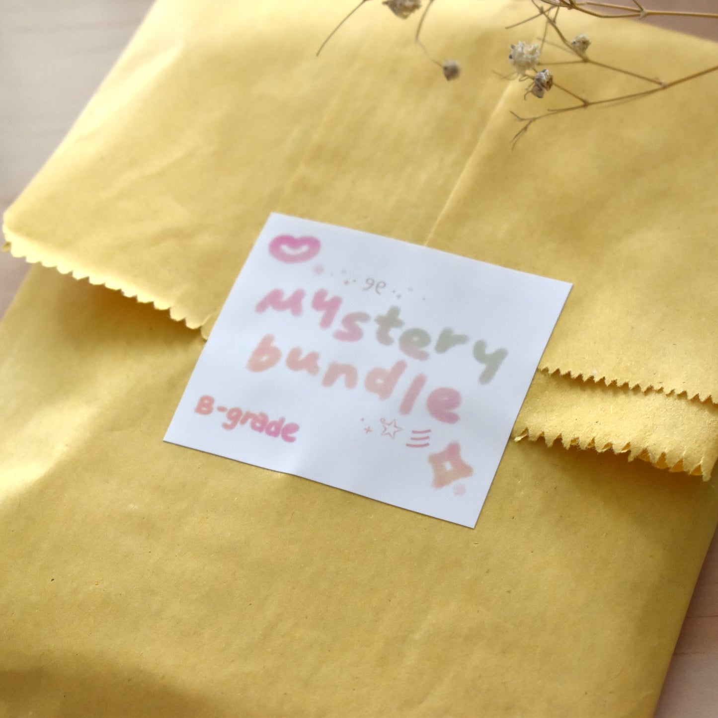 B-Grade Mystery Bundle