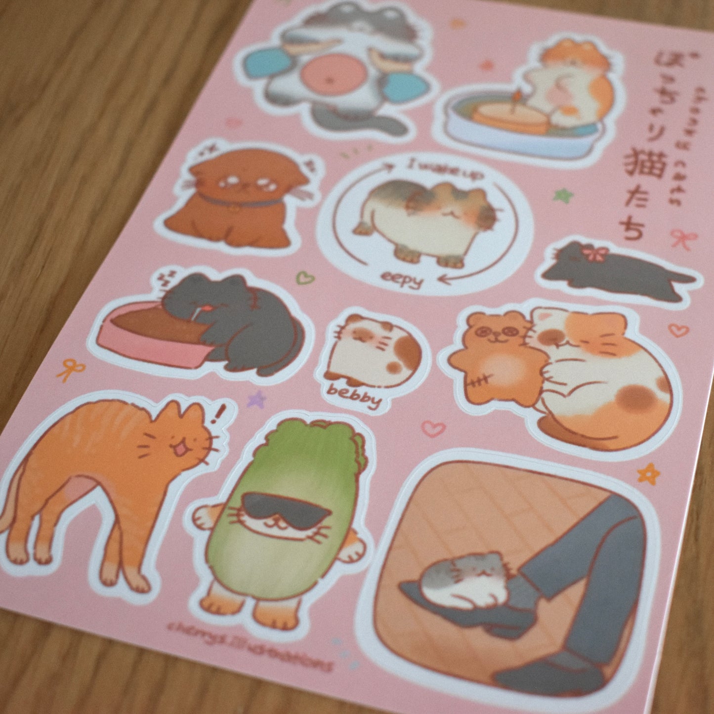 Chonky Cats v9 Sticker Sheet