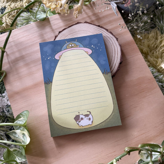 Alien Abduction Memo Pad