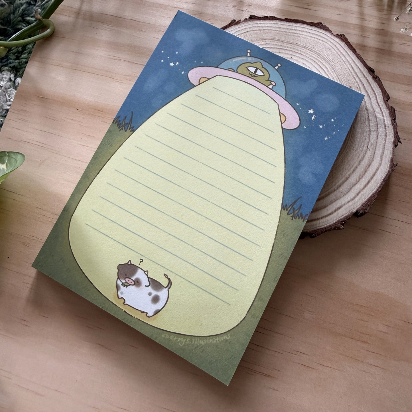 Alien Abduction Memo Pad