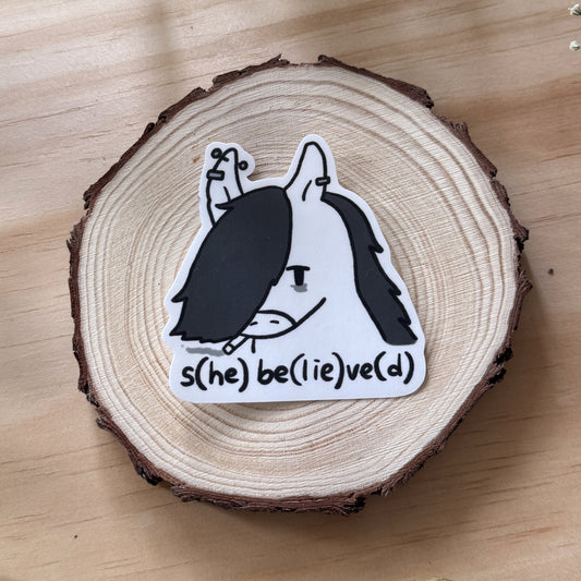 S(he) be(lie)ve(d) Stickers